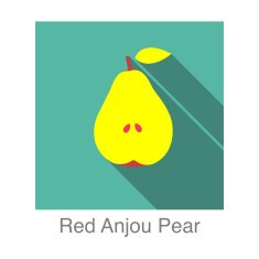 Red Anjou Pear food and drink flat icon series