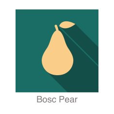 Bosc Pear food and drink flat icon series