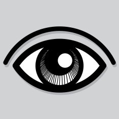 eye icon vector