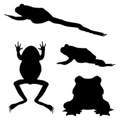 Frog Silhouette Collection (vector jpg)