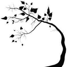 Detailed Tree Silhouette Autumn-Winter