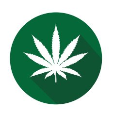 weed or cannabis flat icon in green