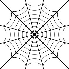 Cobweb N2