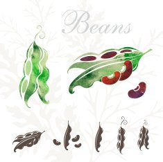Beans icons set