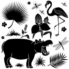 African plants and animals