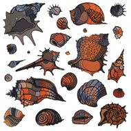 Sea shells set N2