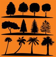 trees N21