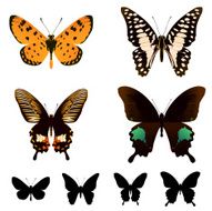 butterfly set N8