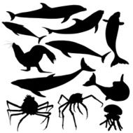 Sea Creature Collection