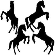Horse N52