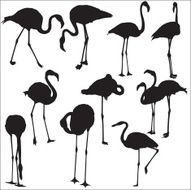 Flamingo Silhouettes N5