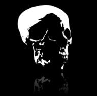 Skull N50