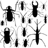 Insects and Bugs