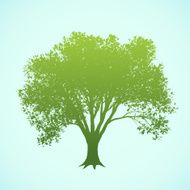 Large Tree N3