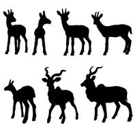 Antelope silhouette set