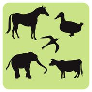 Animals Silhouette