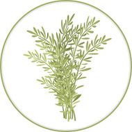 Rosemary Bunch