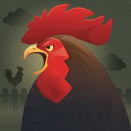 crowing rooster