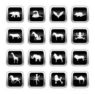 Supergloss Black Icons - Animals
