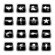 Supergloss Black Icons - Fishes