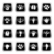Supergloss Black Icons - Animal Tracks