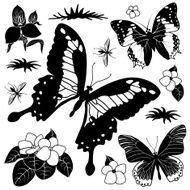 tropical butterflies design elements