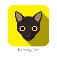 Bombay Cat Cat breed face cartoon flat icon design