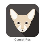 Cornish Rex Cat Cat breed face cartoon flat icon design