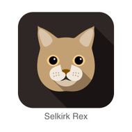 Selkirk Rex Cat Cat breed face cartoon flat icon design