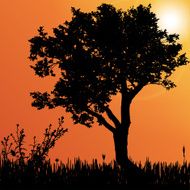 Vector silhouette of tree N2
