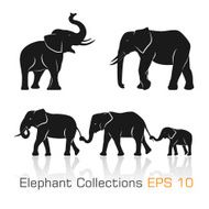Set of black & white elephants in different poses N2