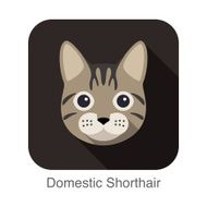 Domestic Shorthair Cat breed face cartoon flat icon design