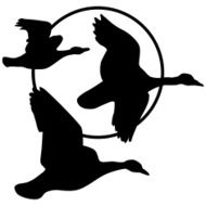 flying geese silhouette and harvest moon