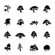 Black Symbols - Trees Species
