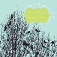 Birds in the Bush