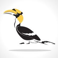 hornbill
