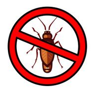 household pest - cockroach in pure style