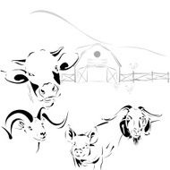 cow sheep goat pig farm N2