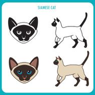 Siamese cat set Face and body