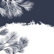 Conifer branches background