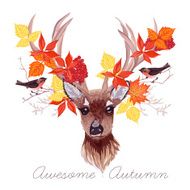 Deer autumn leaves and bullfinches vector design