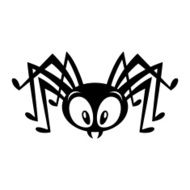 Spider N19