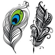 Feathers N31