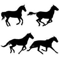 Set silhouette of black mustang horse vector illustration