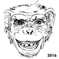 portrait of monkey new year 2016
