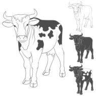 Vector black and white cow