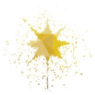Star-Shaped Ink Splatter