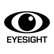 eyesignt icon