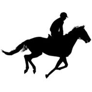 vector silhouette of horse and jockey N3