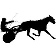 vector silhouette of horse and jockey N4